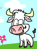 pic for mad cow